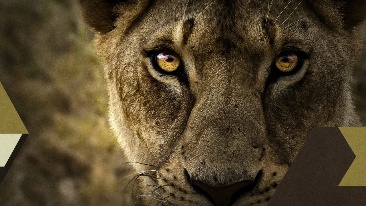 Malika the Lion Queen - 剧照