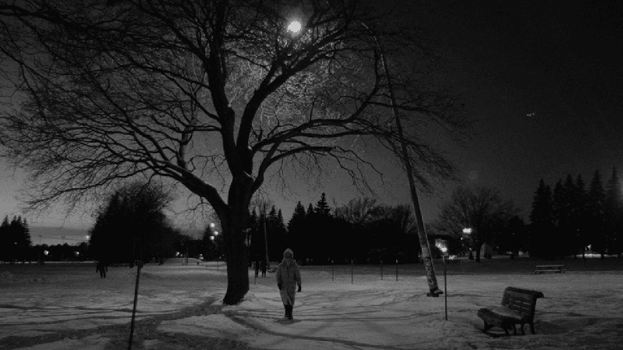 Les flocons de la fin du monde - 剧照