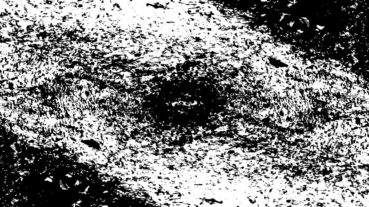 Insect Theory - 剧照