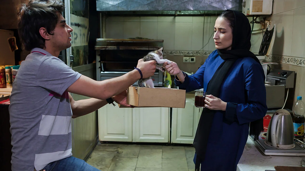پریدن از ارتفاع کم - 剧照