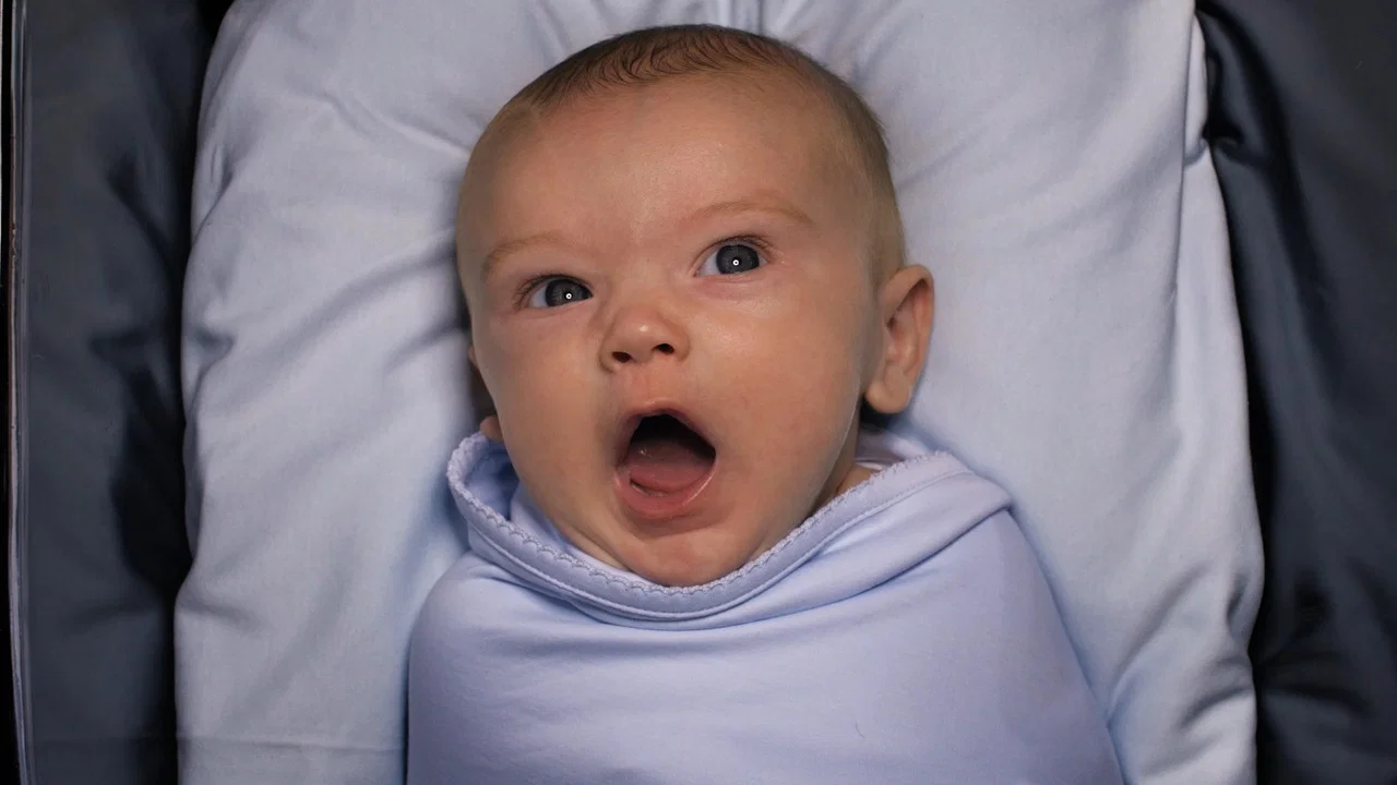 American Circumcision - 剧照