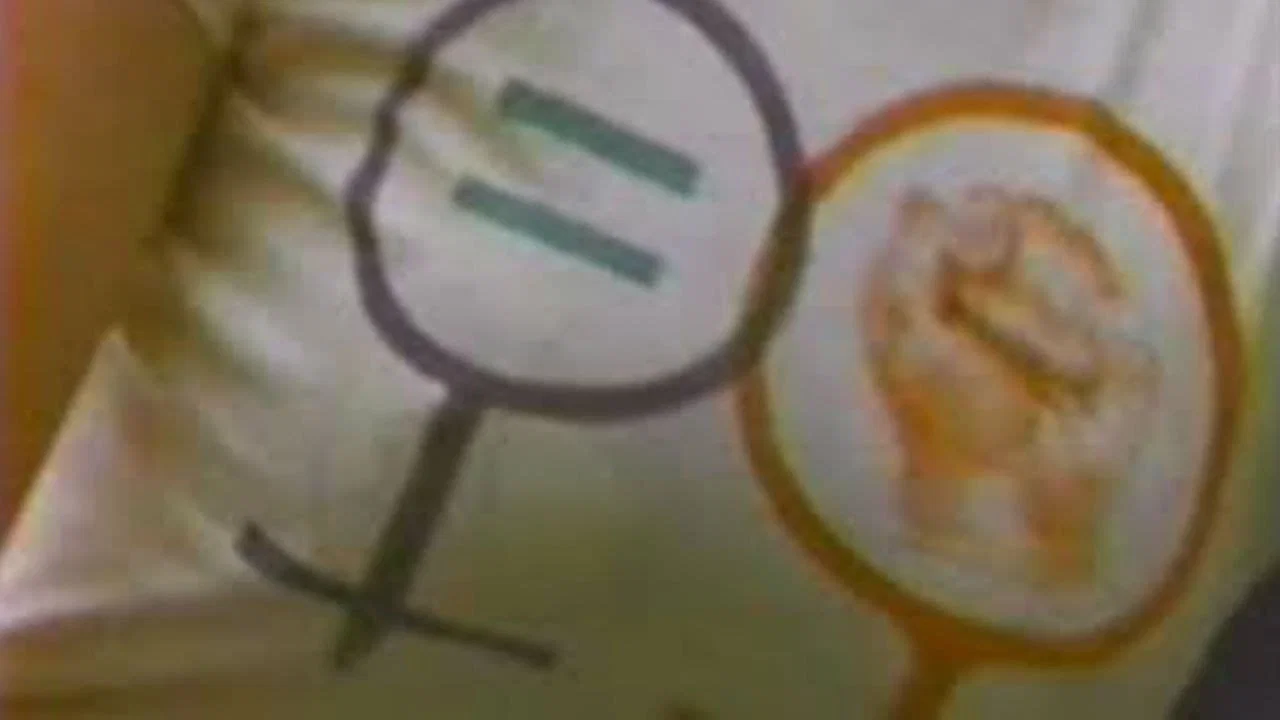 Not For Sale: Feminism and Art in the USA during the 1970s - 剧照