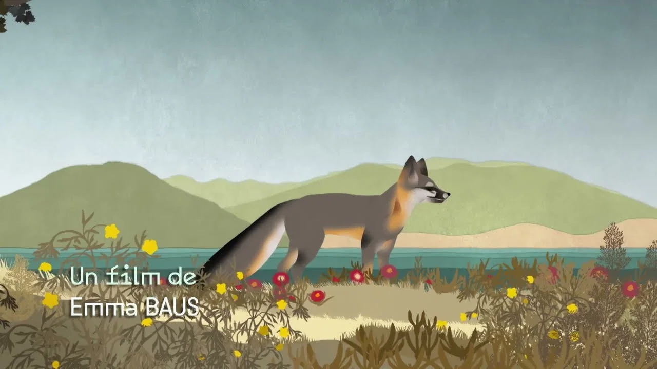Le renard qui a sauv&eacute; son &icirc;le - 剧照