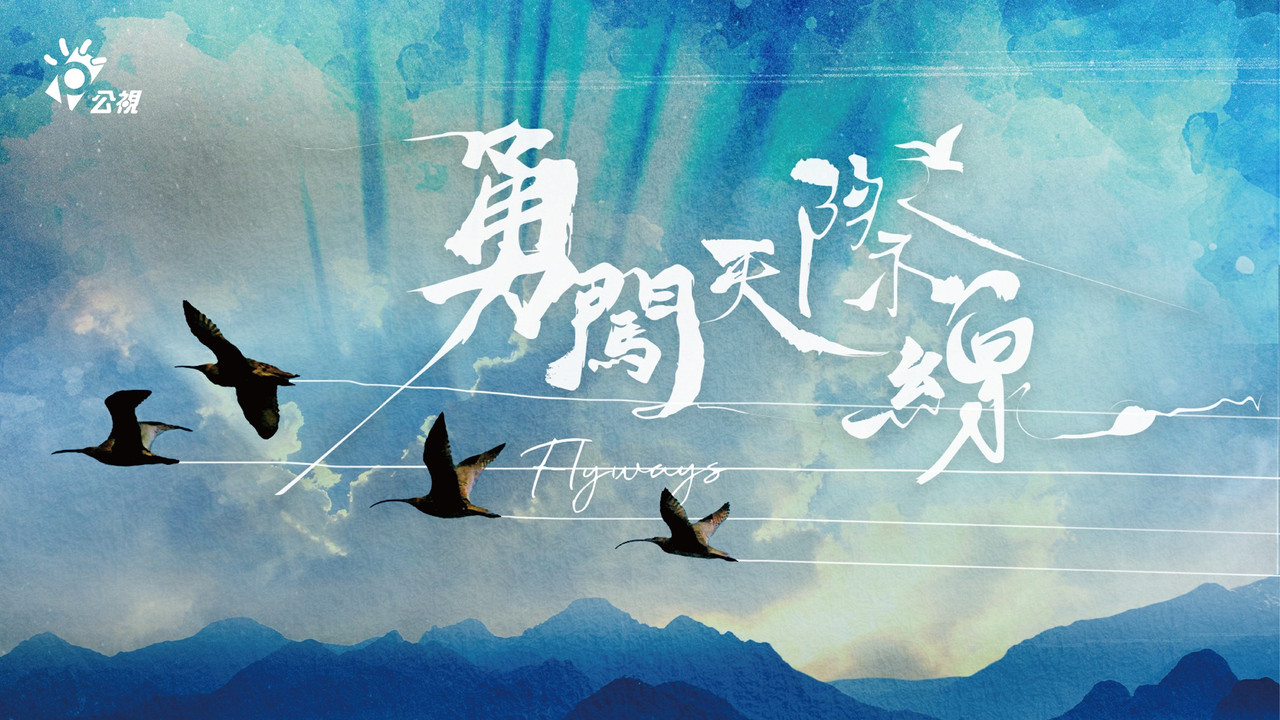 Flyways: The Untold Journey of Migratory Shorebirds - 剧照