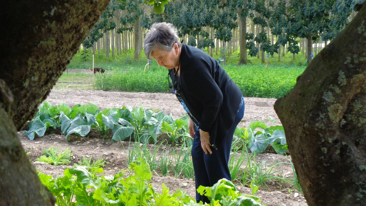 De tros en tros - 剧照