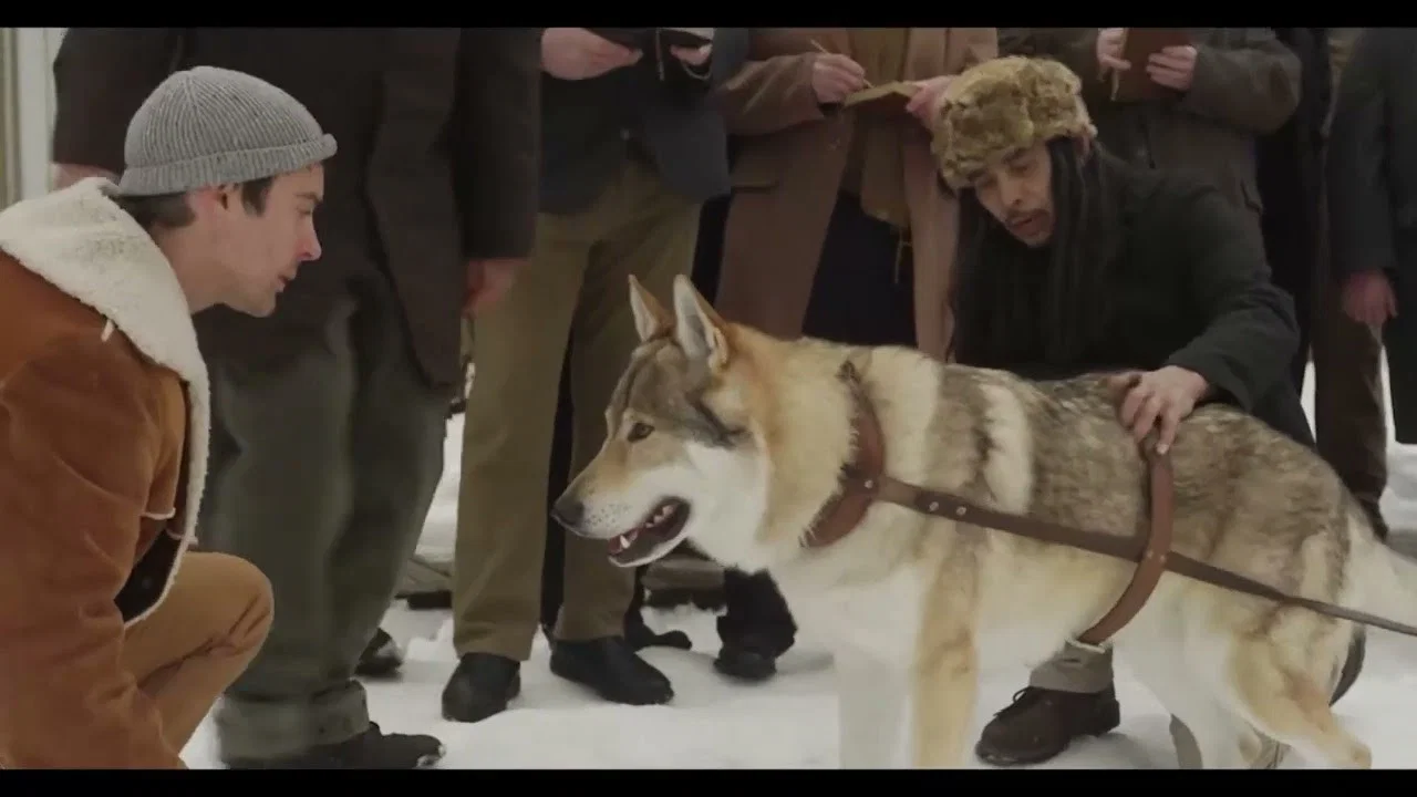 Jack London&rsquo;s Son of the Wolf - 剧照