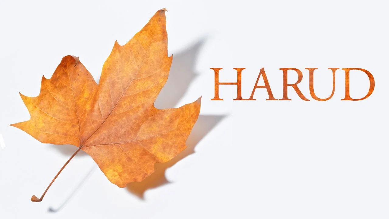 Harud - 剧照