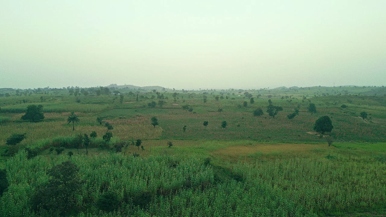 The Sahel Cuisine: Fura Da Nono - 剧照