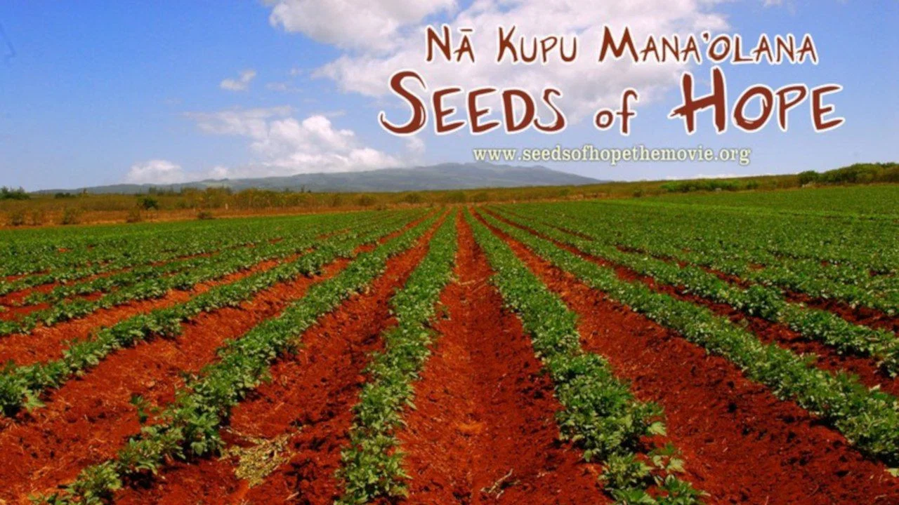 Na Kupu Mana'olana - 剧照