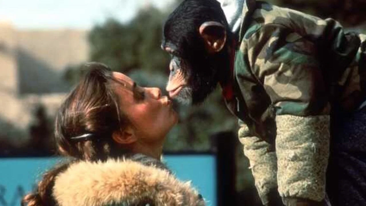 Animal Behavior - 剧照