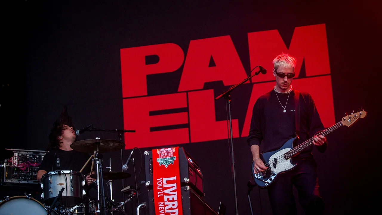 Pamela en concert aux Vieilles Charrues 2025 - 剧照