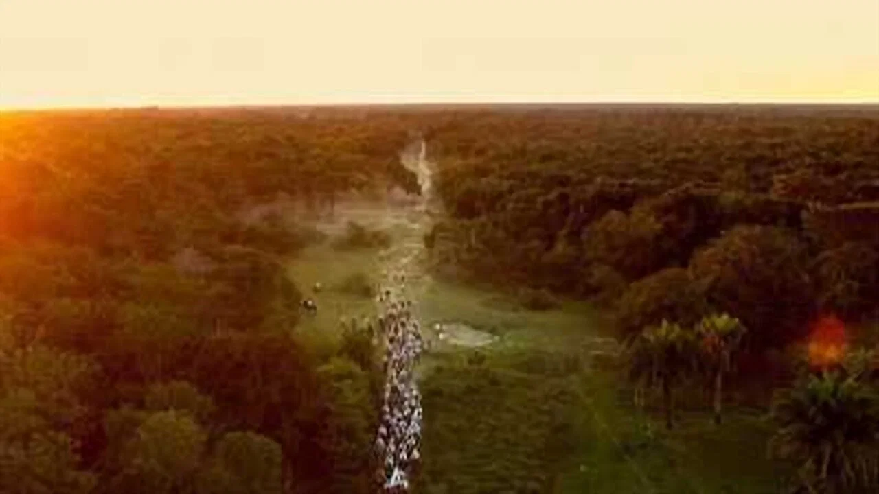 Pantanal: A Boa Inoc&ecirc;ncia de Nossas Origens - 剧照