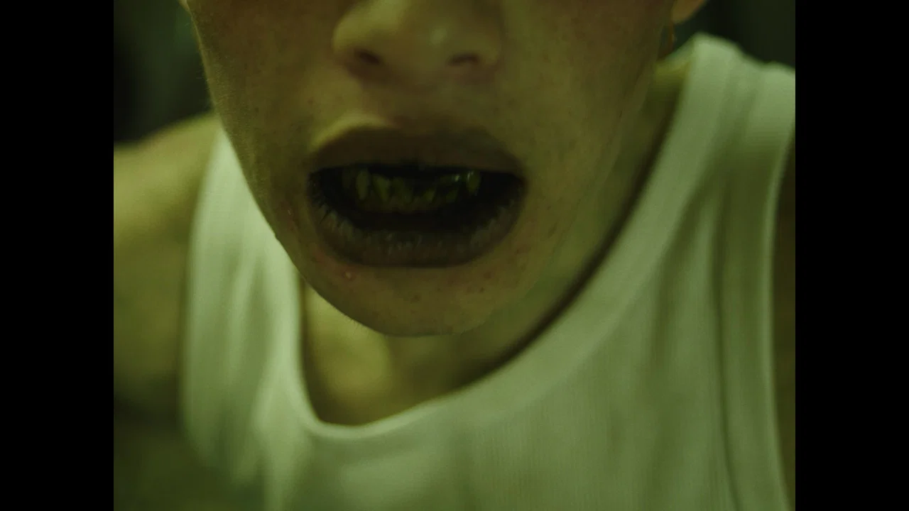 Disease - 剧照