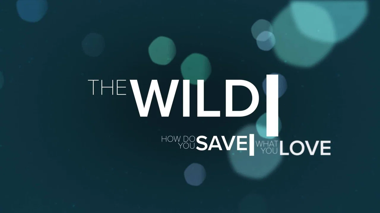 The Wild - 剧照