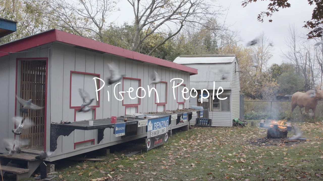 Pigeon People - 剧照