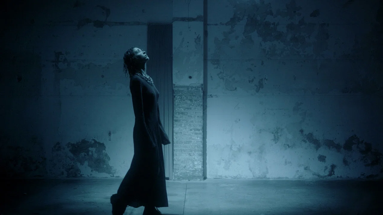 SHIFTING VISIONS - 剧照