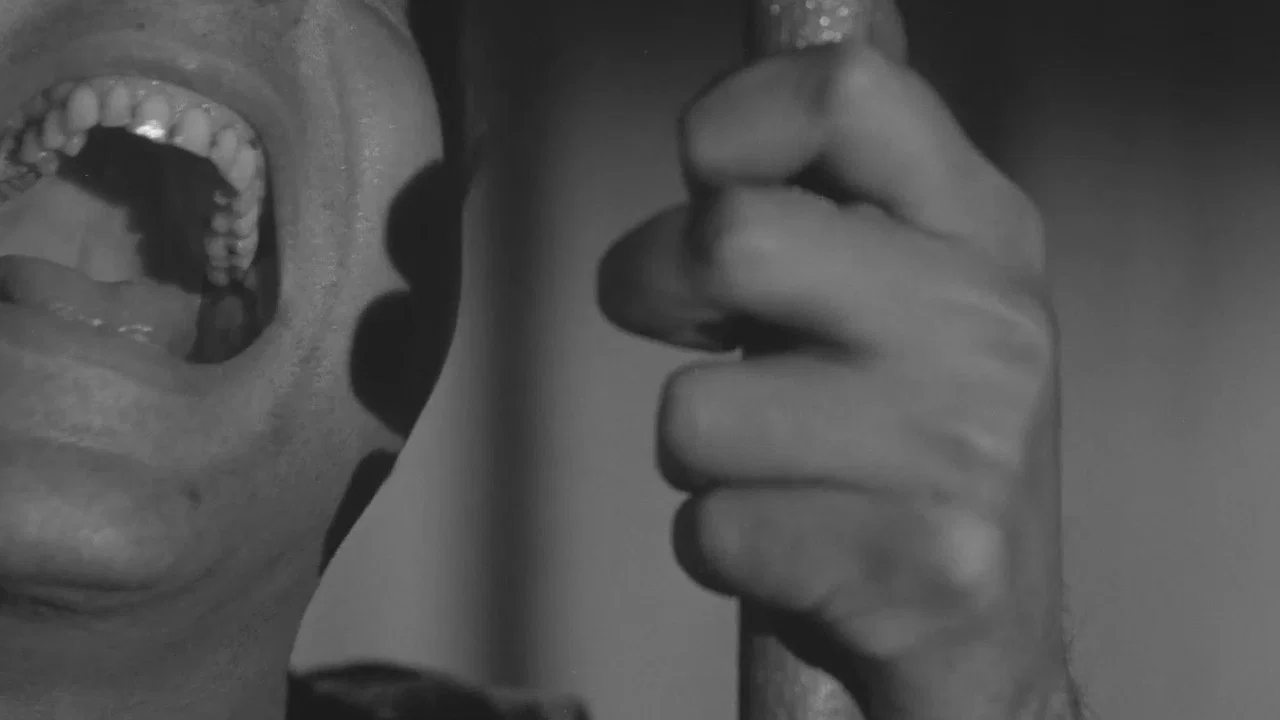 La primera mirada: historia de una escuela de cine - 剧照