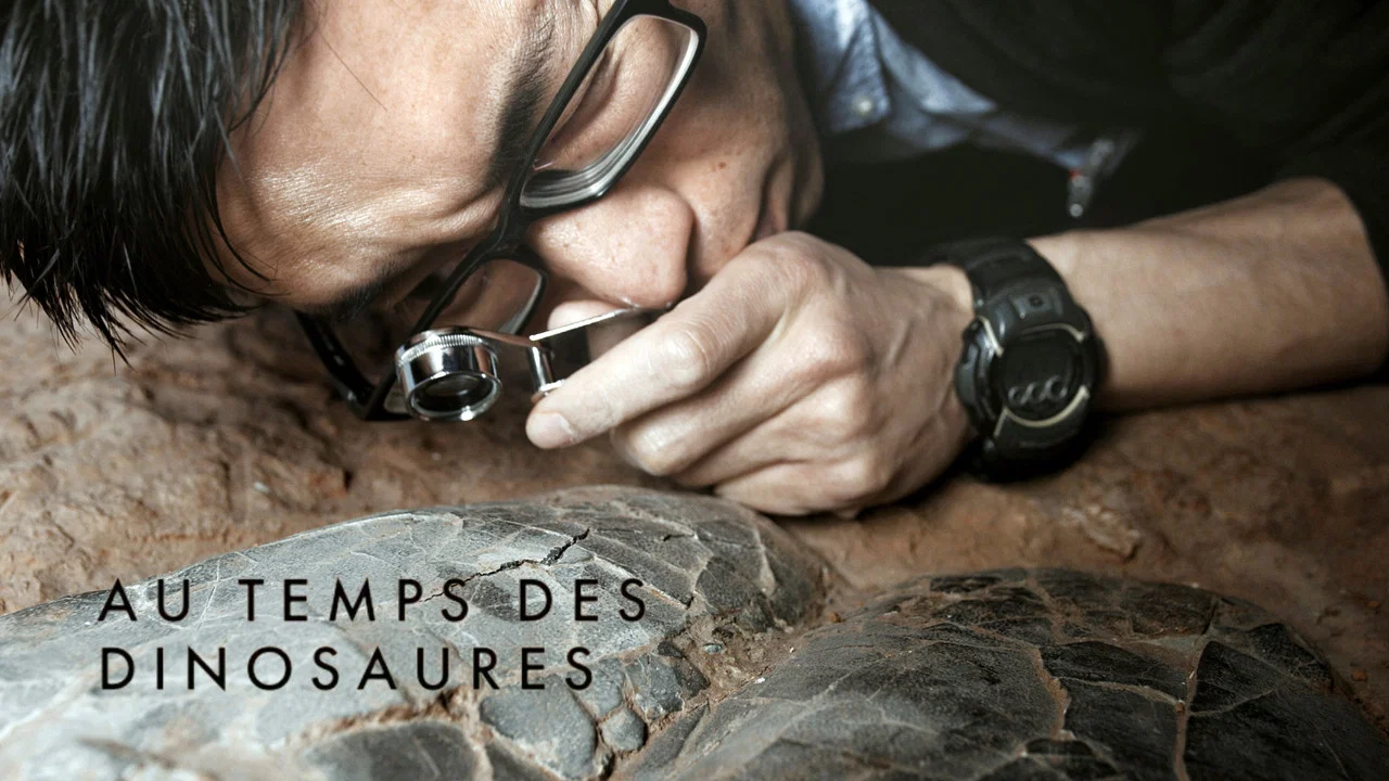 Au temps des dinosaures - 剧照