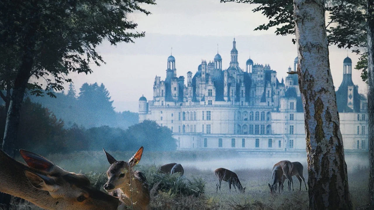 Chambord - 剧照