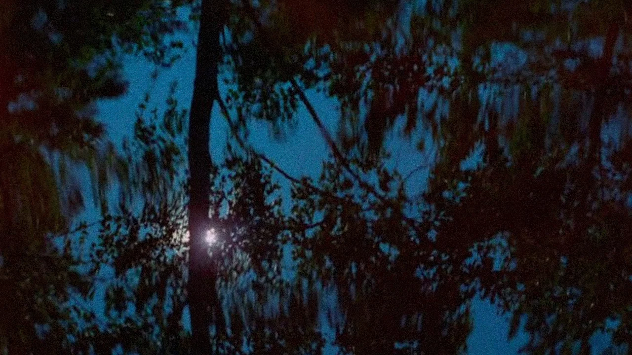 V&auml;reit&auml; - 剧照