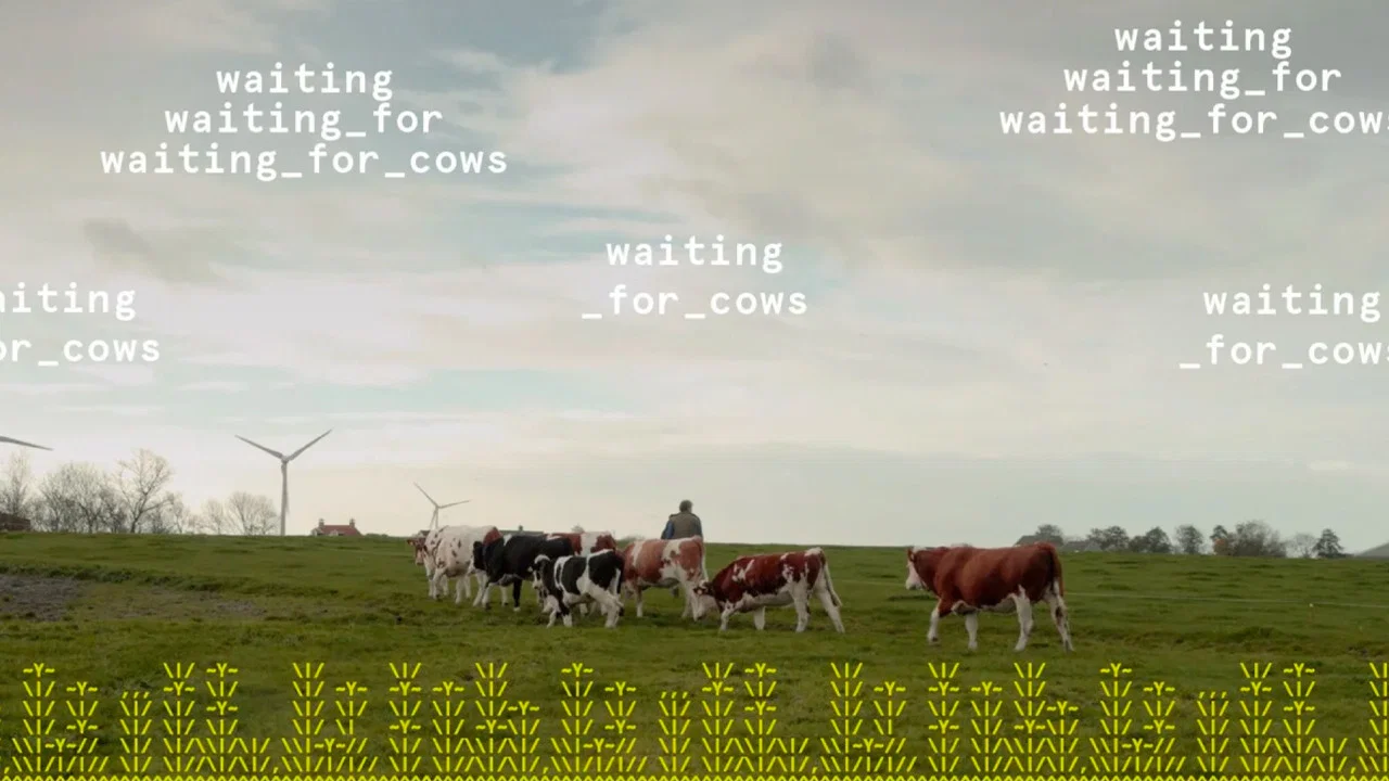 waiting_for_cows - 剧照