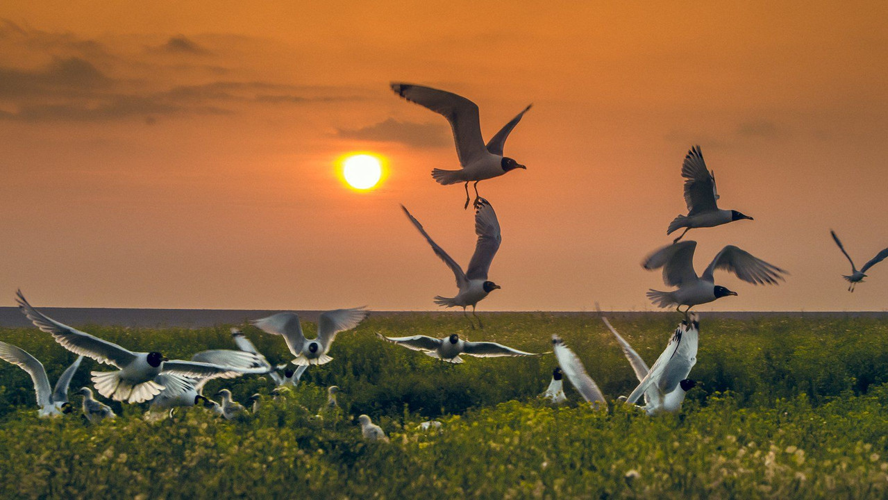 Заповідник Асканія - 剧照