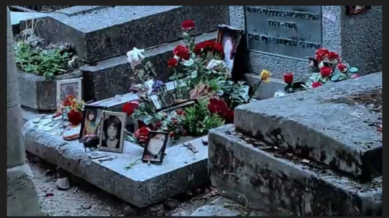 Life isn't a Godard Film - 剧照