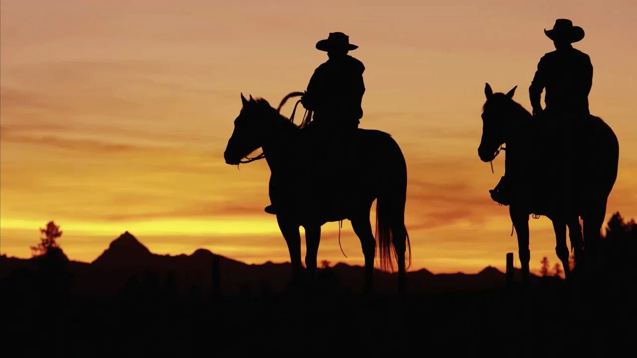 The Cowboy - 剧照