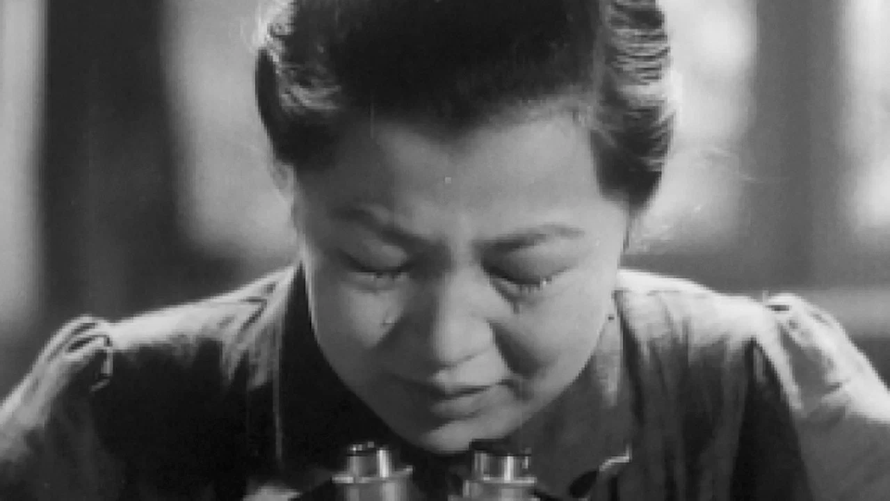 最美 - 剧照