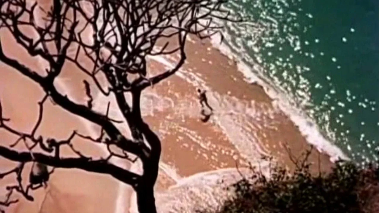 Enchanted Island - 剧照