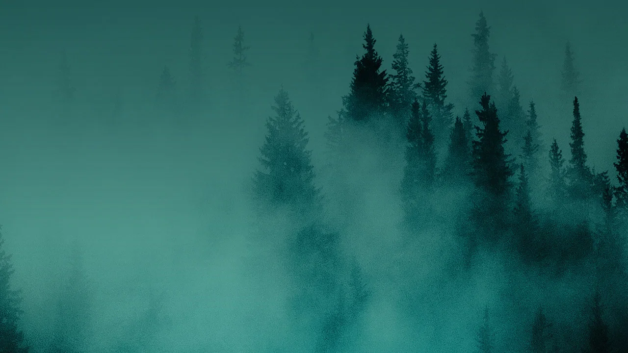 Hunting Matthew Nichols - 剧照