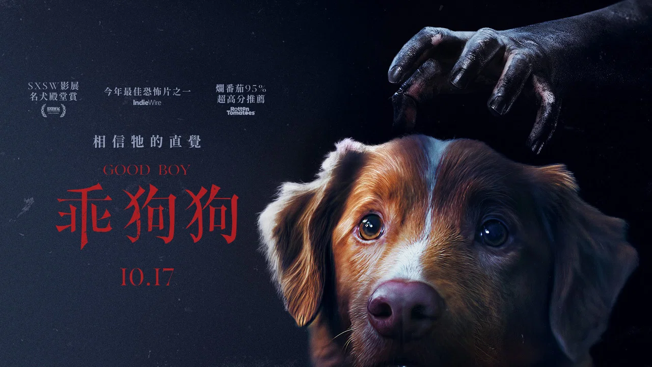 好狗狗 - 剧照