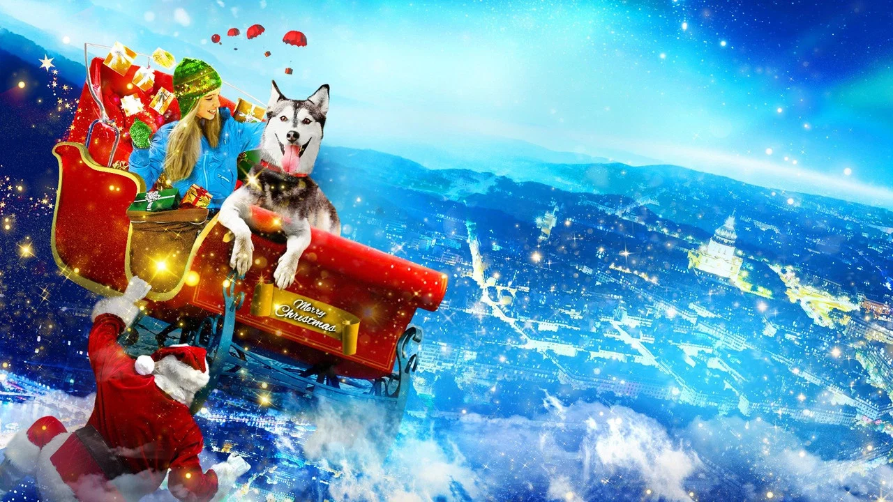 A Dog for Christmas - 剧照