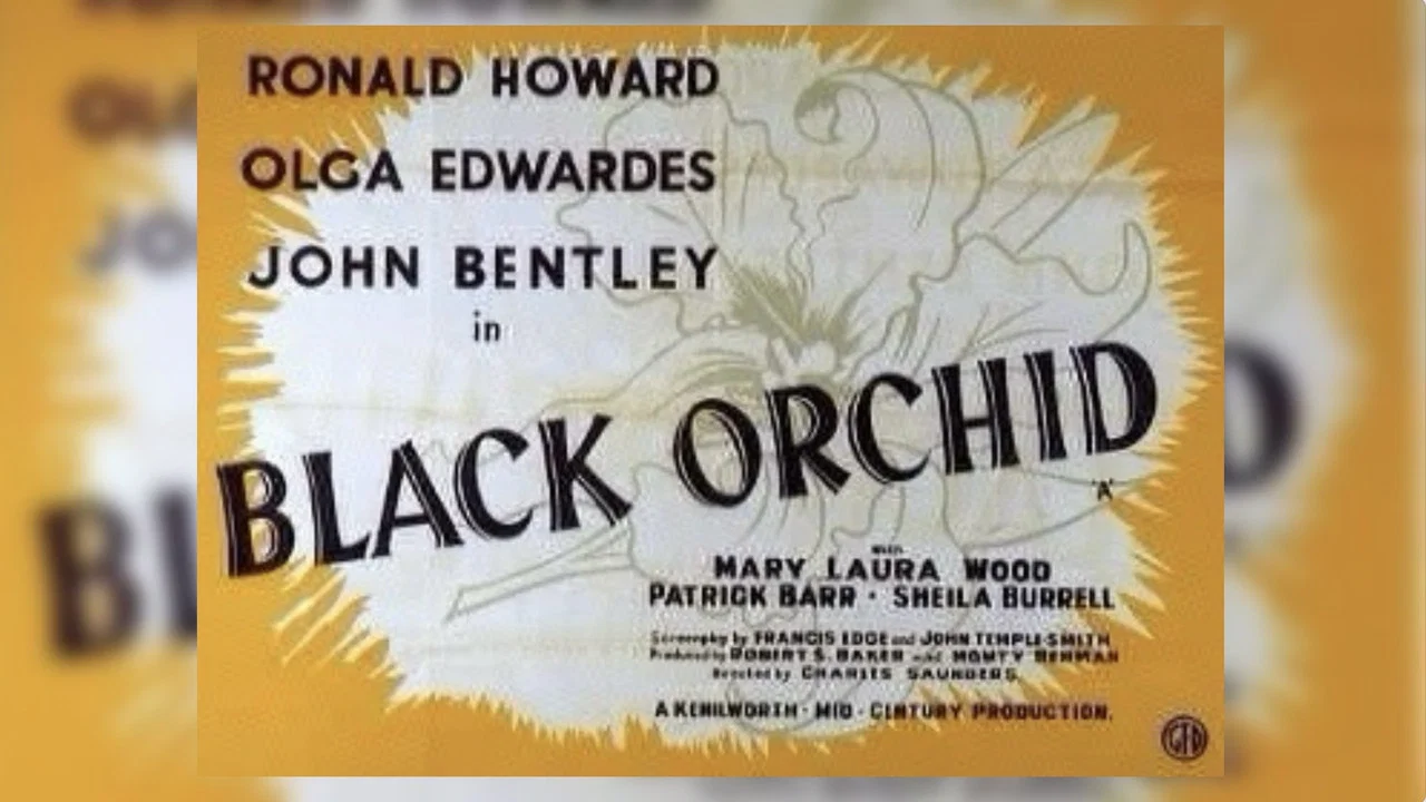 Black Orchid - 剧照