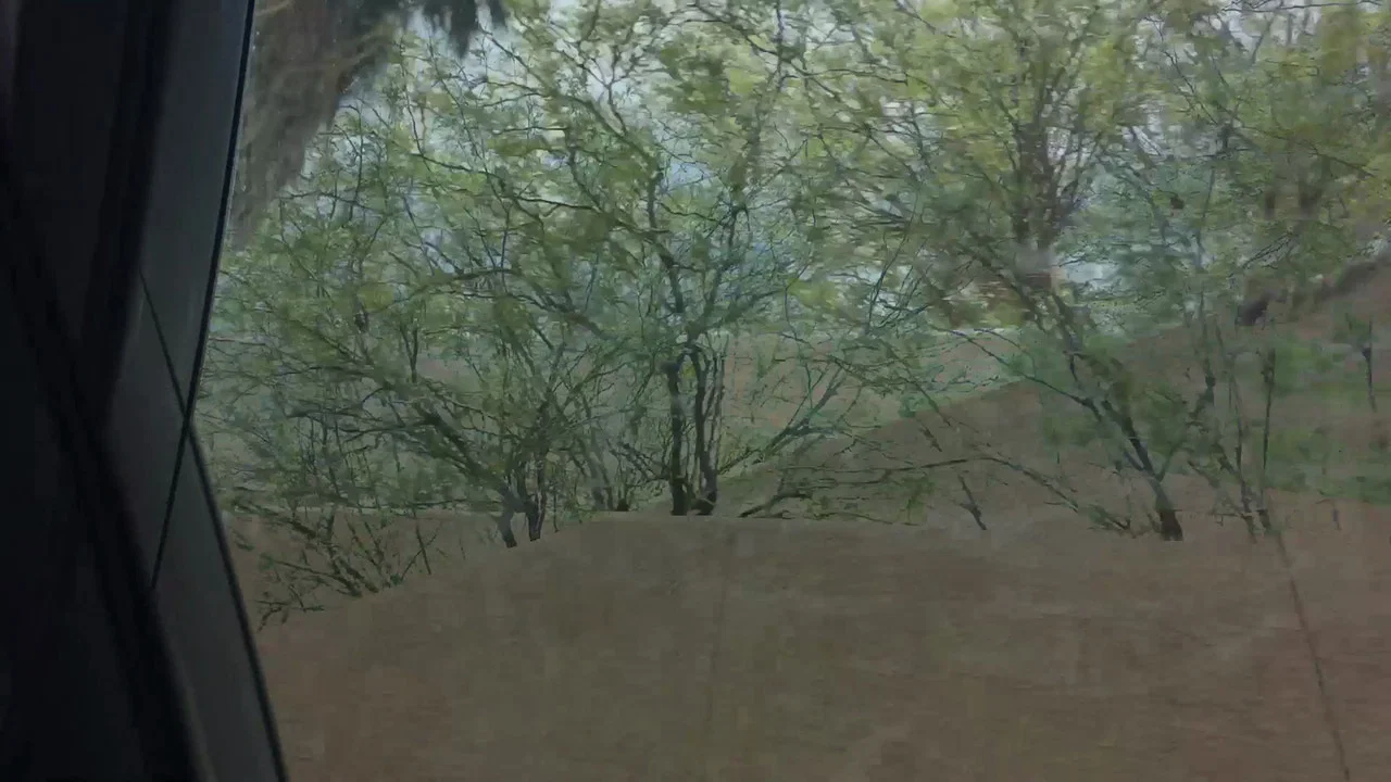 Aridity Enclosure 1 - 剧照