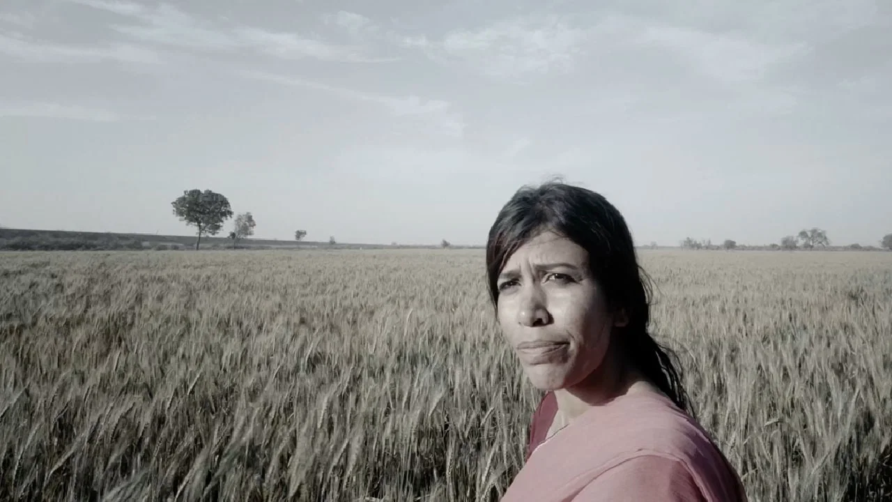 سنڌو جي گونج - 剧照