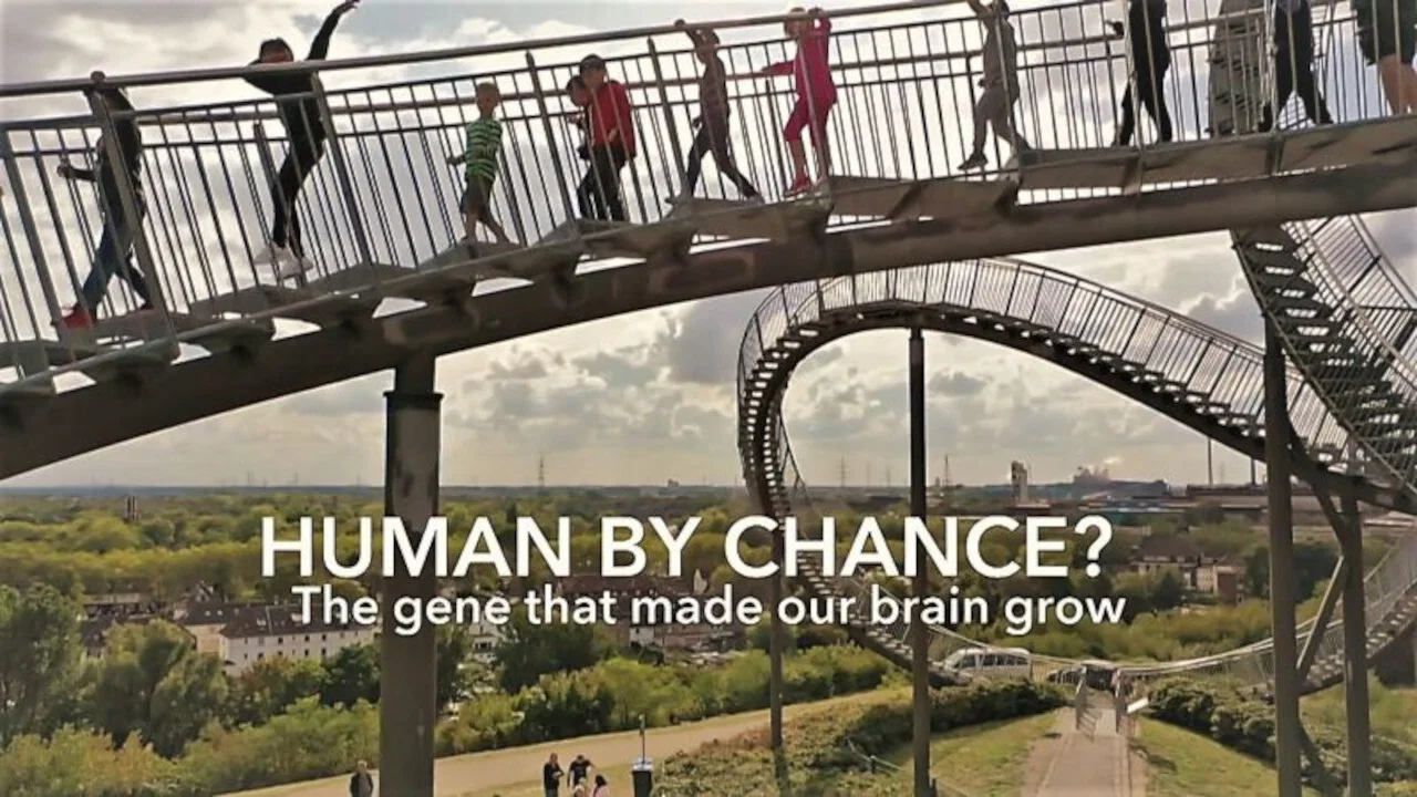 Human By Chance? - 剧照
