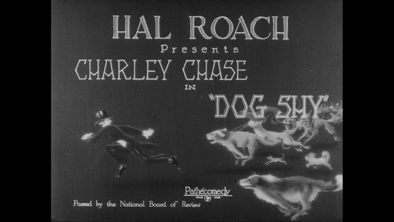 Wonder Dogs! Canine Stars of the Silent Era (1898-1928) - 剧照