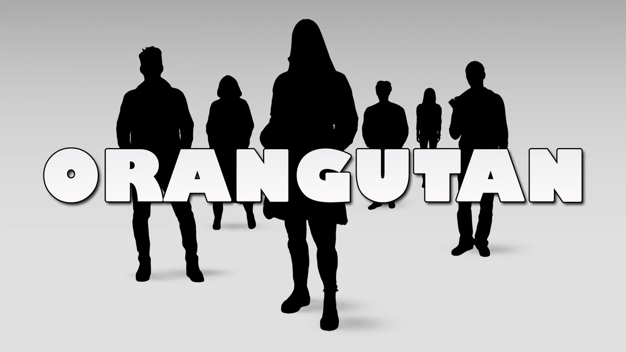 Orangutan - 剧照