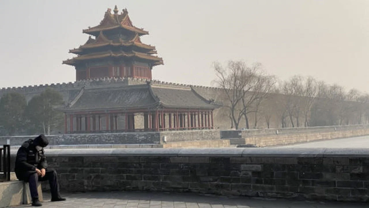 Chine : chronique d'une quarantaine - 剧照