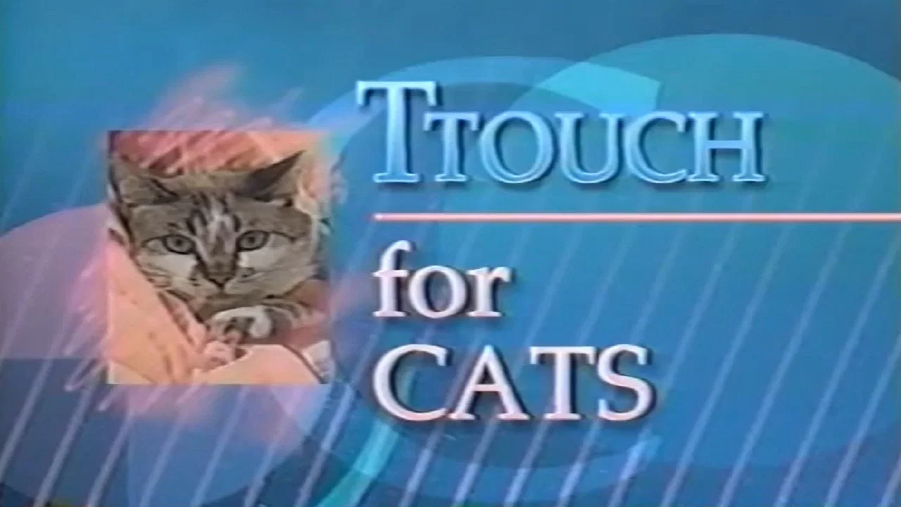 A TTouch of Magic for Cats - 剧照