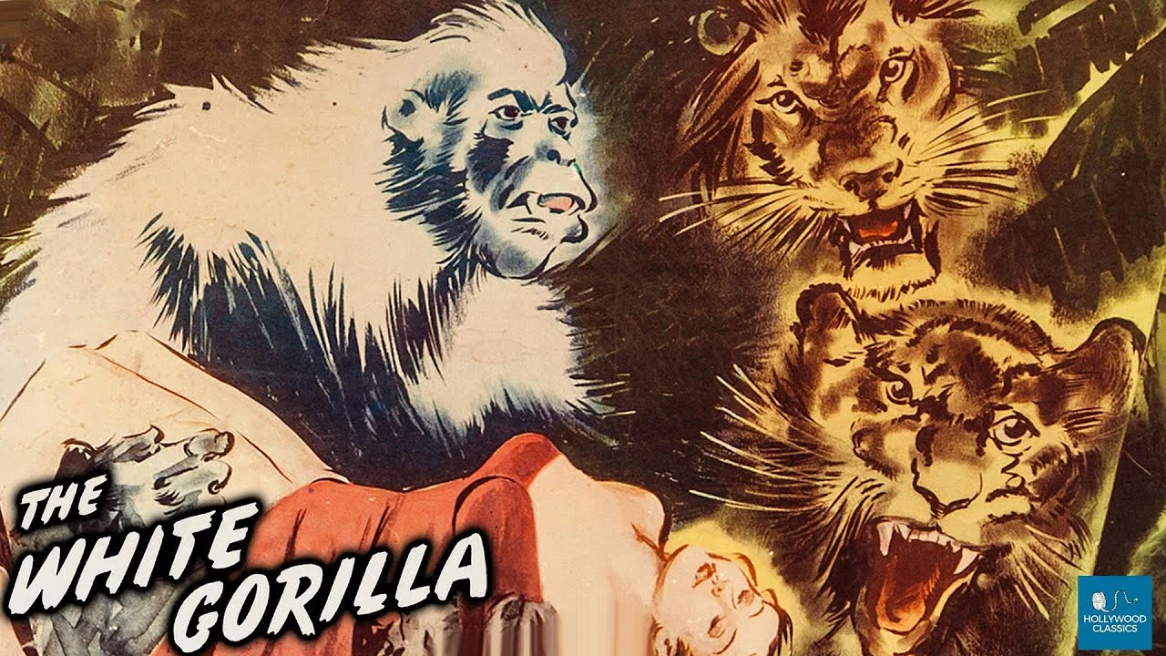 The White Gorilla - 剧照
