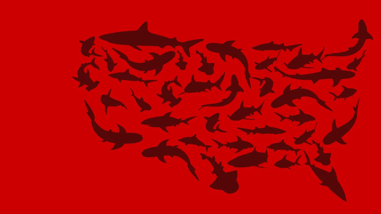 United Sharks of America - 剧照
