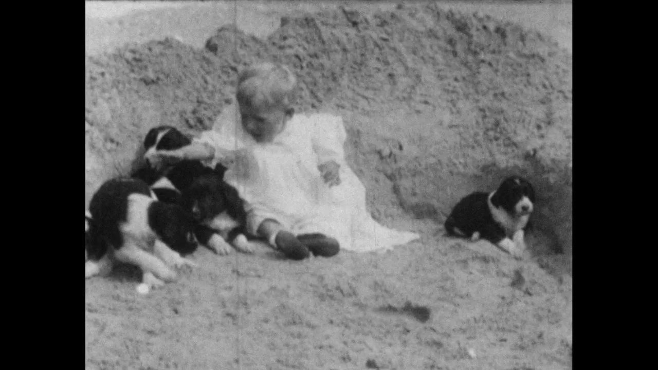 Wonder Dogs! Canine Stars of the Silent Era (1898-1928) - 剧照