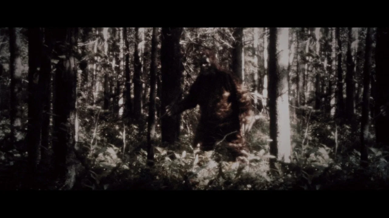 Secrets of the Sasquatch - 剧照