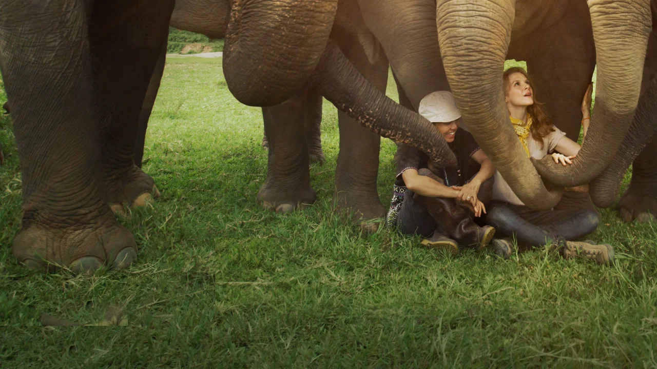 Love & Bananas: An Elephant Story - 剧照
