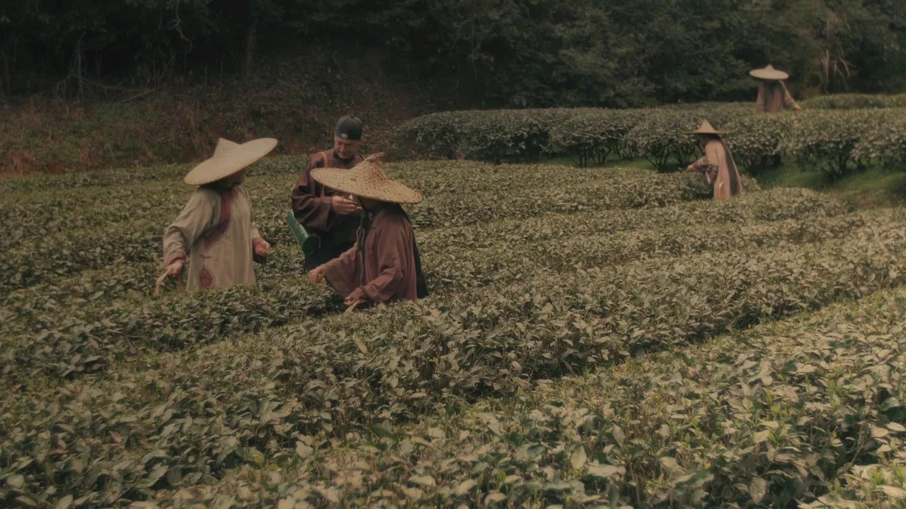 Les aventures de Robert Fortune ou comment le th&eacute; fut vole aux Chinois - 剧照