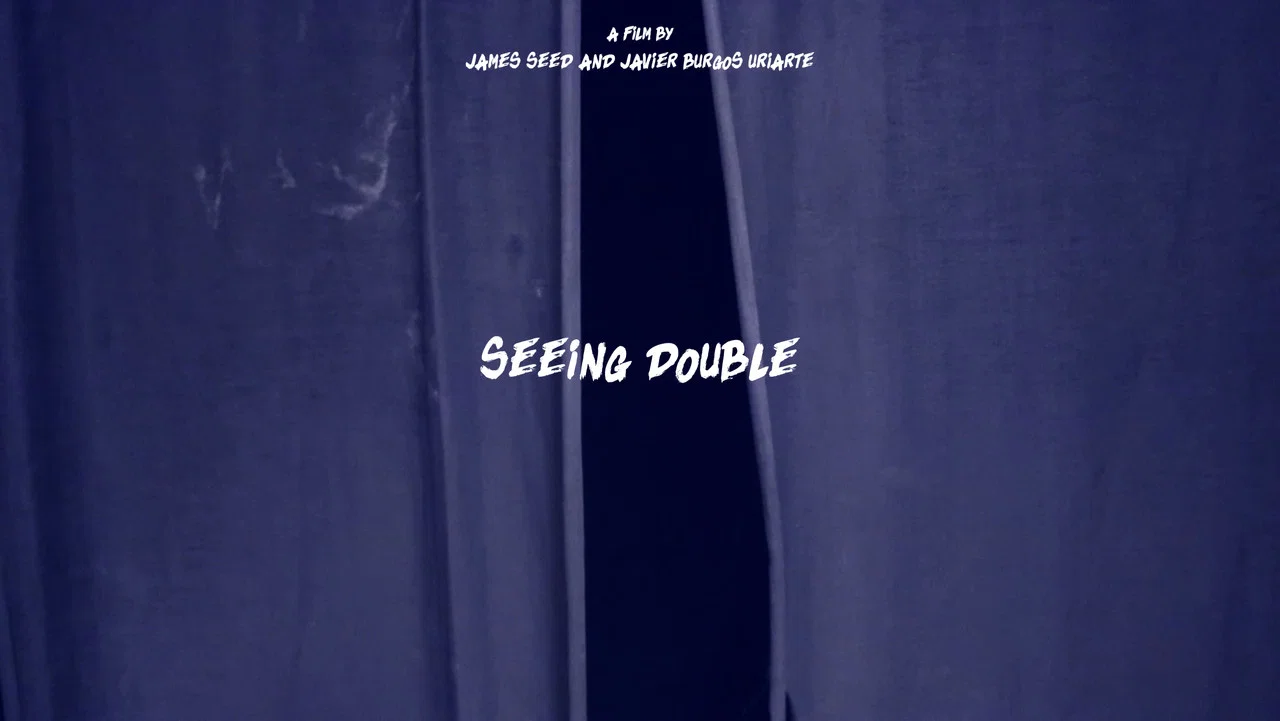 Seeing Double - 剧照