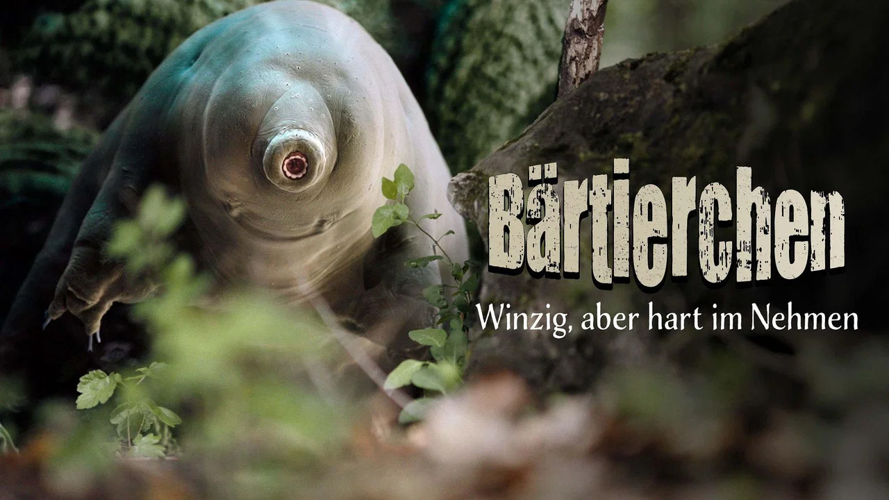 Tardigrade, l'animal indestructible - 剧照