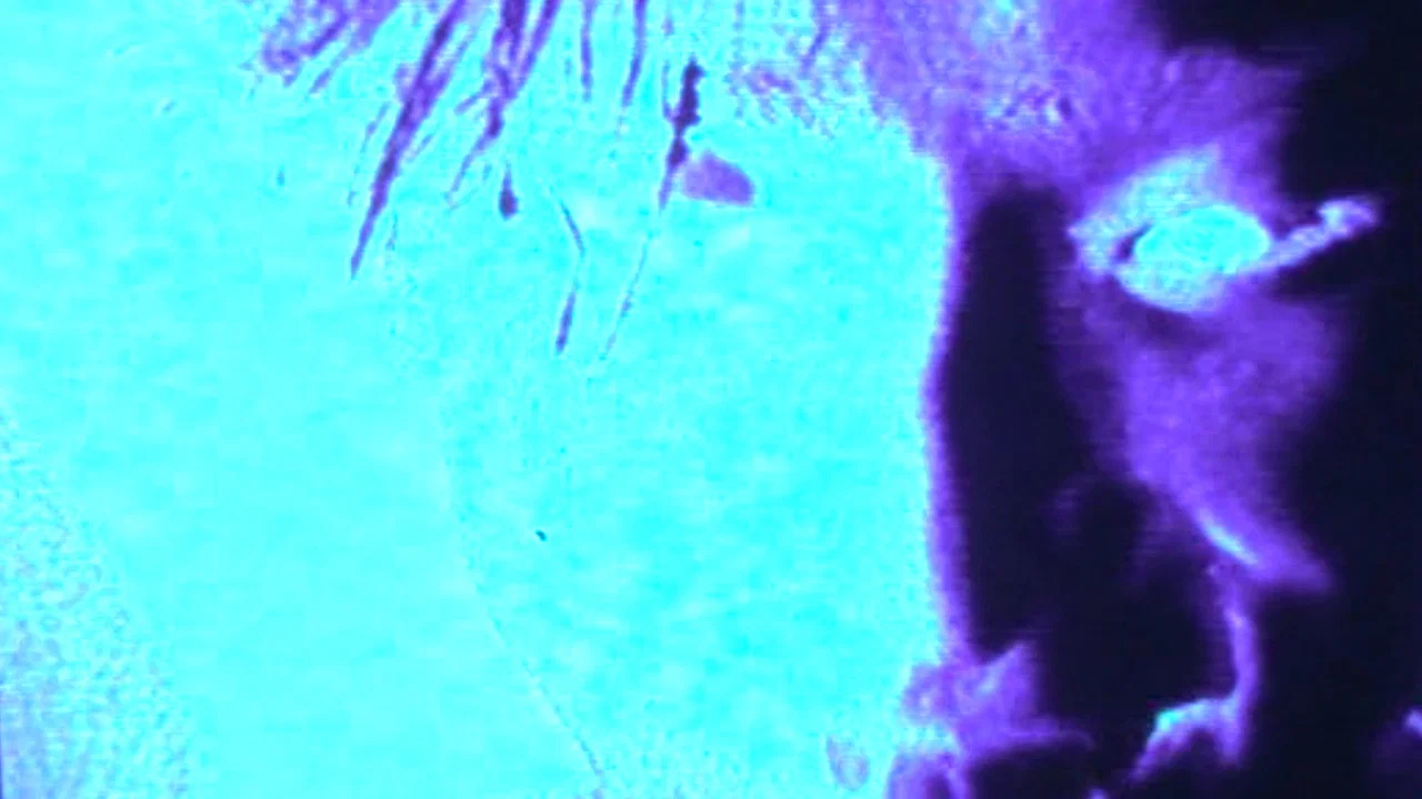 G.I.S.M.「烈波壊虐音群突入911」 - 剧照